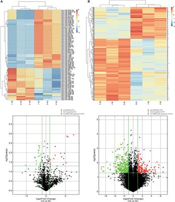 Establishment of a Colorectal Cancer-Related MicroRNA-mRNA Regulatory Network by Microarray and Bioinformatics